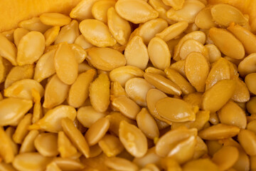 a group of seeds suitable for food during the preparation for drying