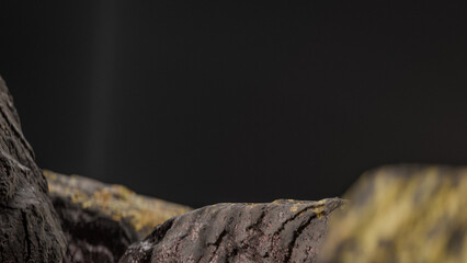 Bottle of perfume is shown on a rocky surface. The bottle is black and has a black cap. The bottle is placed on a rock, and the rock is surrounded by other mossy rocks. Premium photo 3d render.