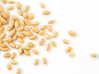 <Organic Seeds and Grains: Natural, Healthy Nutrition for Cooking and Baking>