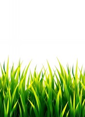 Fototapeta premium Nature's Serenity: Vibrant Green Field