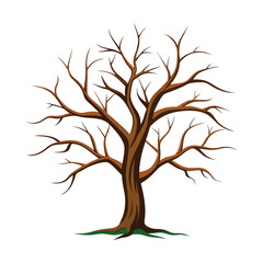 Fototapeta premium Bare crooked tree set on white background