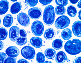 Microscopic View Of Stained Biological Cells