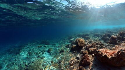 Fototapeta premium underwater photo blue background panorama ocean surface and bottom of the sea