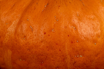 pumpkin with sweet flesh, an orange pumpkin from which various types of dishes are prepared close up