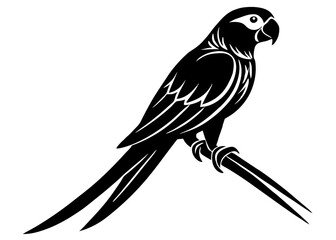 Black and White Parrot Illustration Perched on Branch