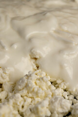 fresh grained cottage cheese made from white milk with sour cream, sprinkled with liquid sour...