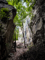 Narrow Pathway Between Rocky Cliffs Leading To The Nago Rock Climbing Area, Surrounded By Lush Green Trees
