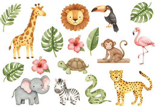 Fototapeta Watercolor jungle animals clipart set for kids nursery decor safari animal illustrations zoo animal graphics