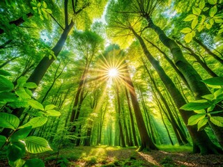Obraz premium Lush Green Forest, Deep Focus, Enchanting Nature Photography