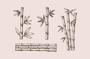 Set of bamboo engraving style logo design illustration