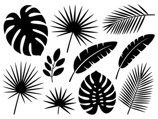 Black tropical leaf silhouettes on white background