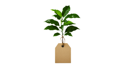 Green plant with vibrant leaves is suspended above a blank tan paper tag against a stark black background.