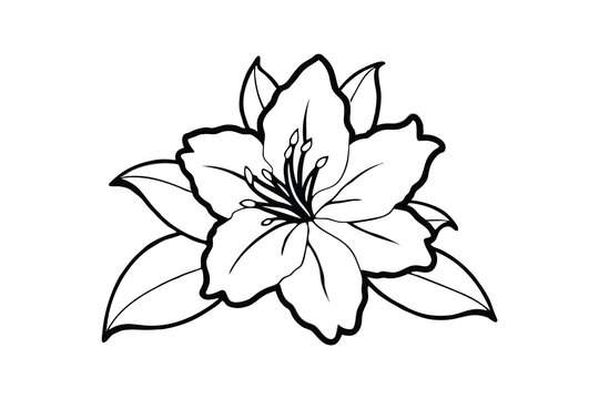 azalea flower minimalist silhouette vector isolated on white background