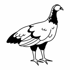 Silhouette of Hen isolated on white background
