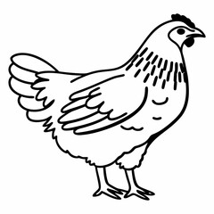 Silhouette of Hen isolated on white background
