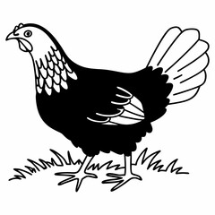 Silhouette of Hen isolated on white background
