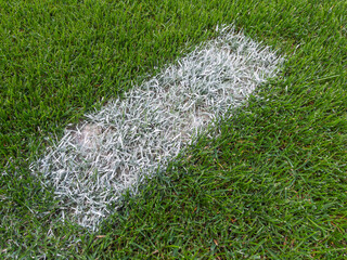 Freshly Marked Sports Field with Bright White Lines