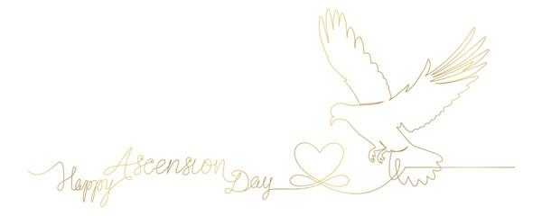 Fototapeta premium Dove line art style. for Ascension Day background vector 1