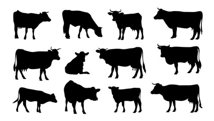 cows