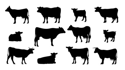 set of cows silhouette vector on tranparent background