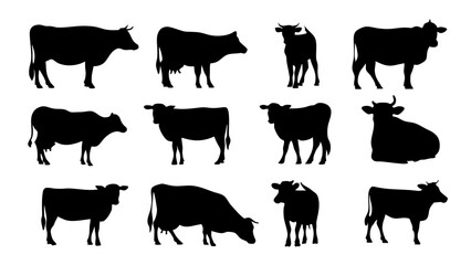 set of cows silhouette vector on tranparent background