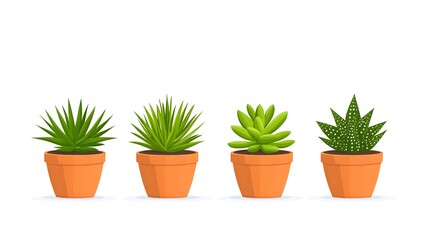Obraz premium Four potted succulents in terracotta pots, showcasing diverse textures and shapes