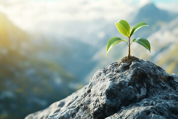 Young plant growing on mountain peak nature resilience hope