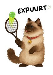 cat tennis