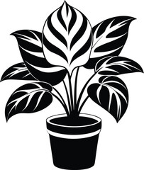 House plant in pot silhouette, House plant in a pot doodle outline, Potted plant line art vector illustration
