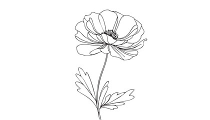 Continuous one single minimal line drawing Opium poppy flower