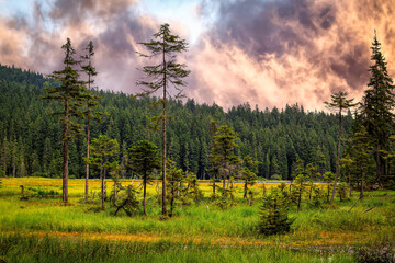 Arbersee Bavaria Germany, Bavarian Forest