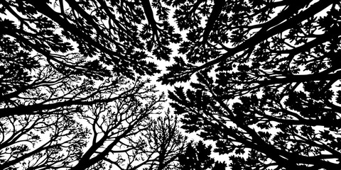 Abstract Black and White Treetop Canopy Silhouette