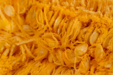 pumpkin with cooking seeds, preparing orange pumpkin for cooking, pumpkin into a pumpkin