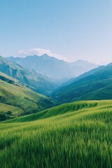 Obraz premium minimalist landscape of terraced rice fields in asia bathed in early morning light