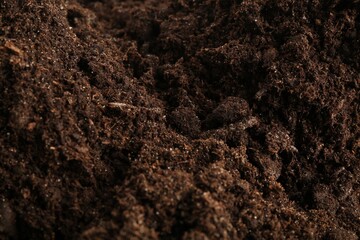 Texture of fresh soil as background, closeup