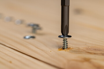 screw for fixing wooden boards twisted into a pine board