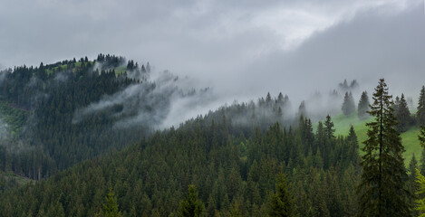 Mist Rising the Morning After a Rainy Day. Morning Mist on Mountains.