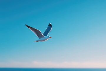 Obraz premium solitary bird soars high against clear sky minimalistic composition with abundant blue copy space
