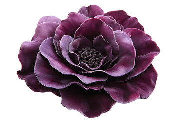 Deep Purple Rose Flower on Transparent Background