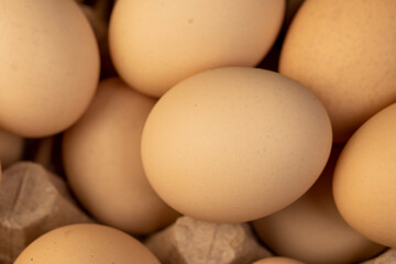 eggs close up, fresh large chicken eggs during packaging