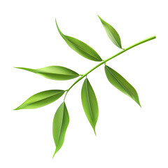 Vibrant Green Leaf Branch