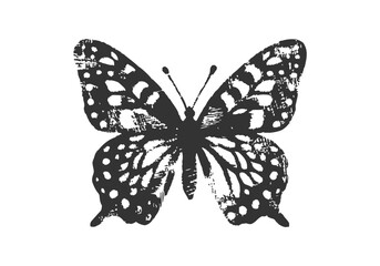 Butterfly Collection Hand Drawn Illustration Vector Isolated Composed by AZ for Books, Arts, Design and Decoration Graphic Asset