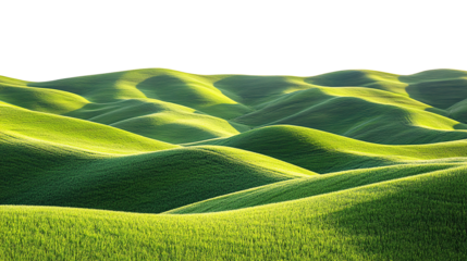 Beautiful green grass stretches across vast hills, serene rural scenery, isolated on transparent background. PNG