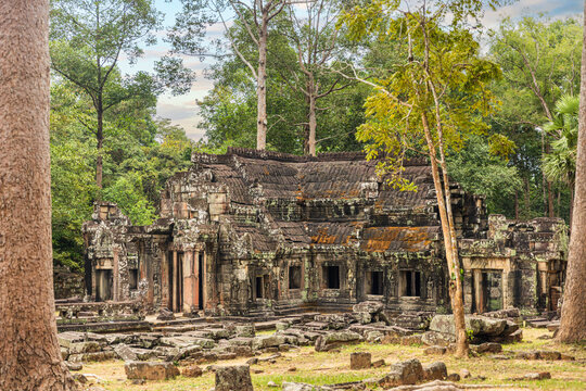 Ta Prohm temple, part of the Angkor Wat complex, Seam Reap, Cambodia. - Powered by Adobe