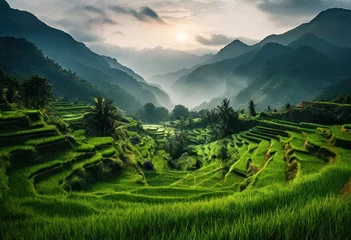 Fotobehang Rijstvelden Terraced Rice Fields Landscape  © Murilo