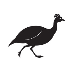 Helmeted Guineafowl Running With Lowered Head