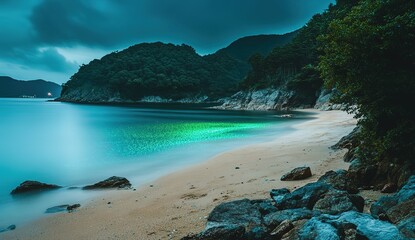 Fototapeta premium Glowing Bioluminescent Bay at Night Beach