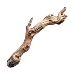 Fototapeta premium Detailed Close-up of a Weathered Branch Against Transparent Background