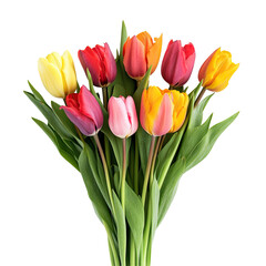 Fototapeta premium Vibrant bouquet of tulips in various hues
