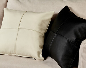 Two leather pillows resting on comfortable sofa in modern living room